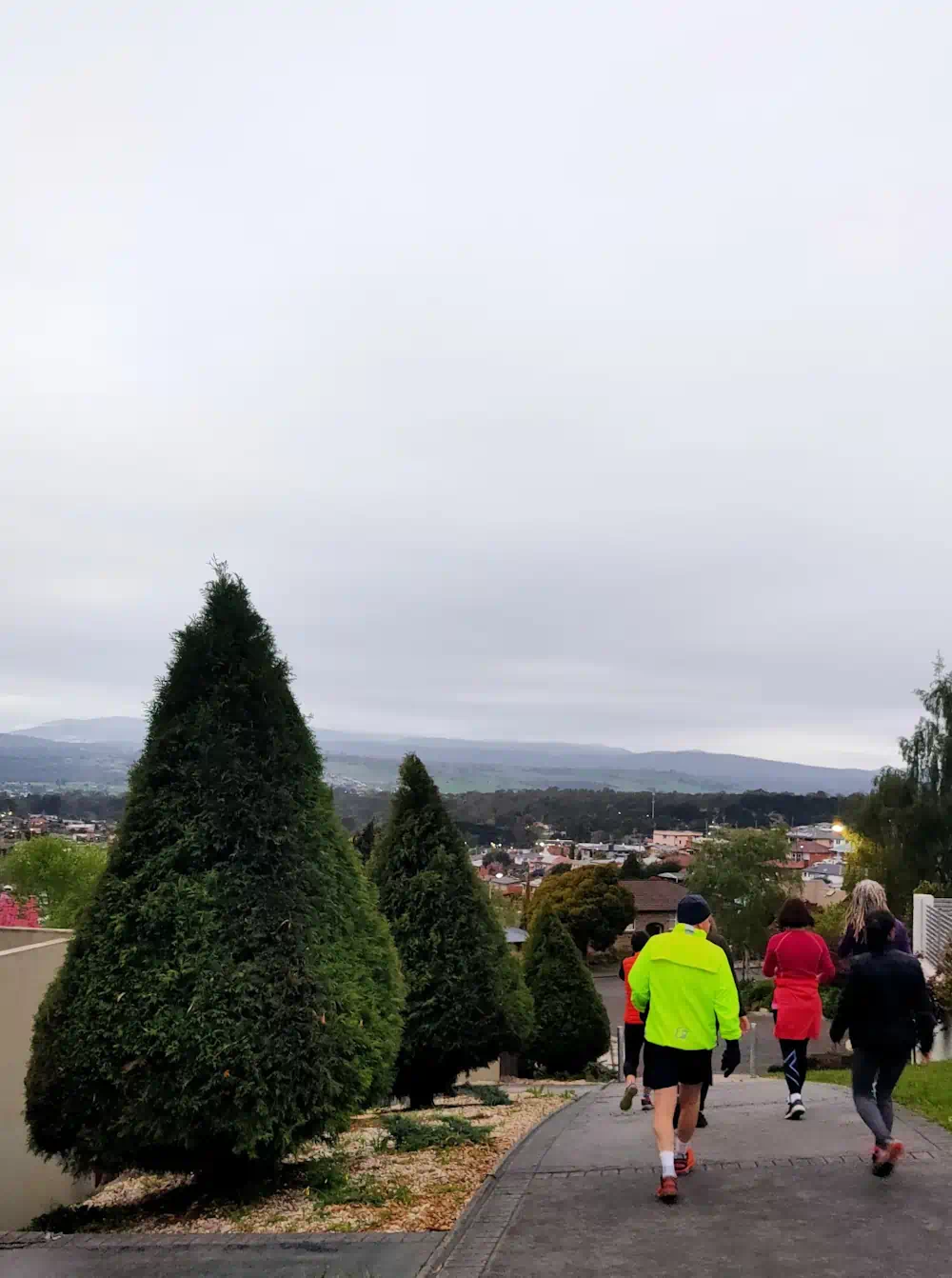Hills & Thrills walking group lg People walking downhill past trimmed trees